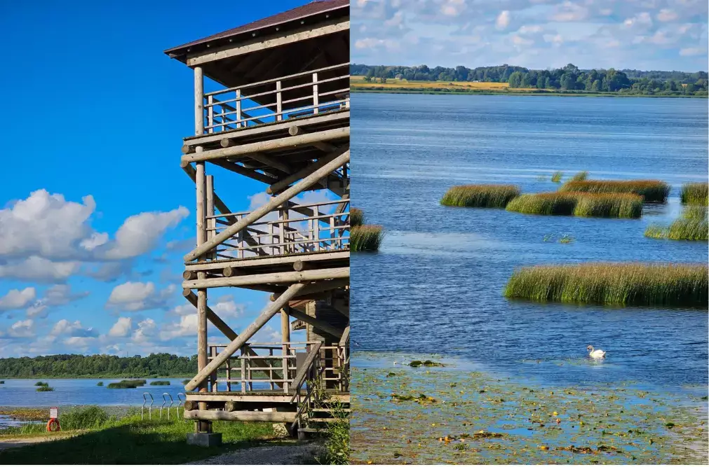 Tihu järv, õpperada ja vaatetorn