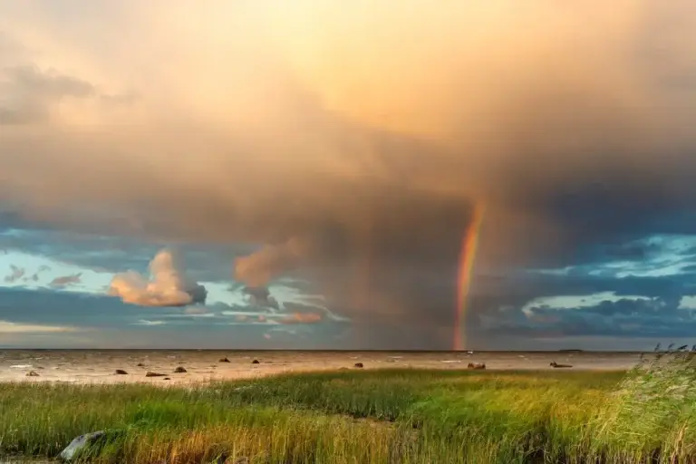 Hiiumaa loodusfotograafide näitus Viscosas