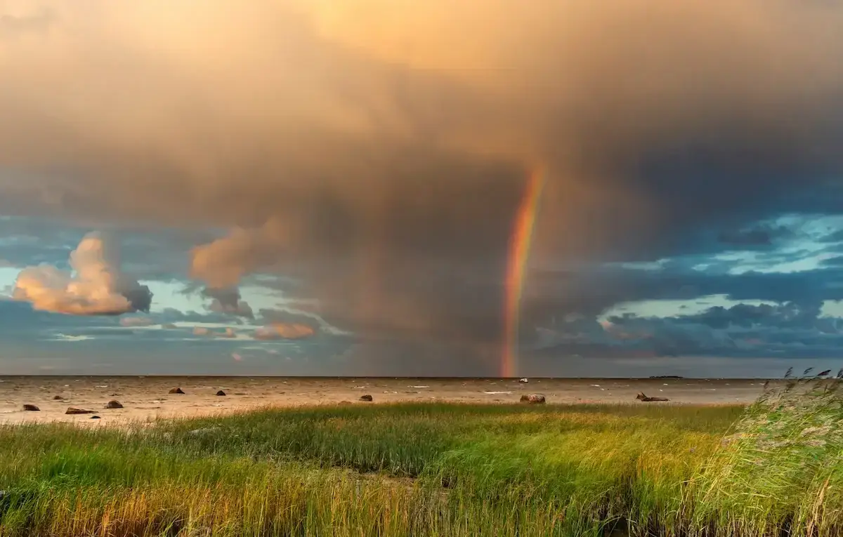 Exhibition of Hiiumaa nature photographers in Viscosa