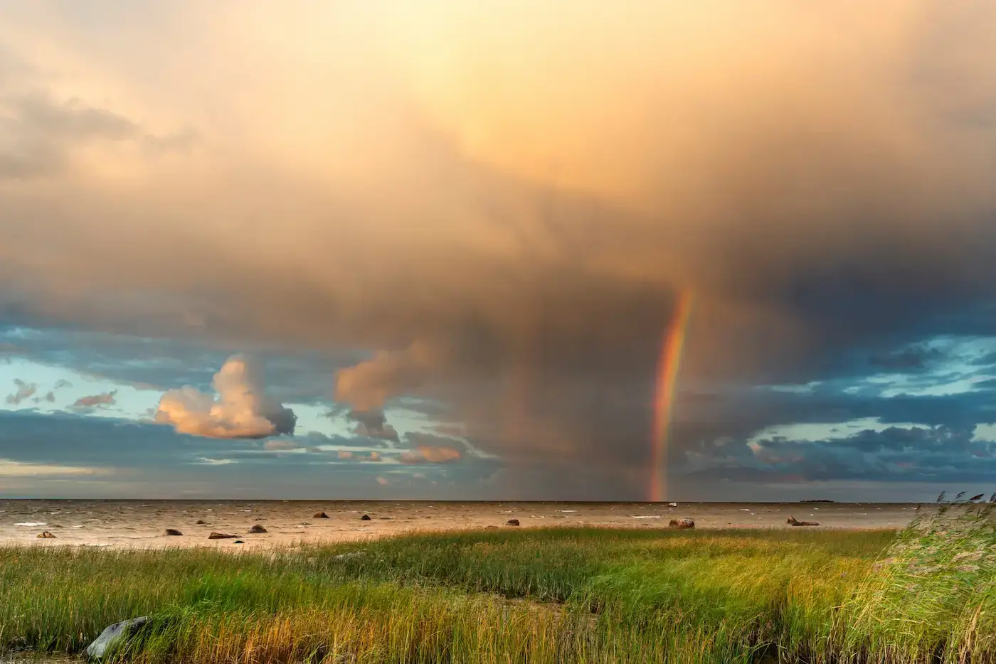 Hiiumaa loodusfotograafide näitus Viscosas